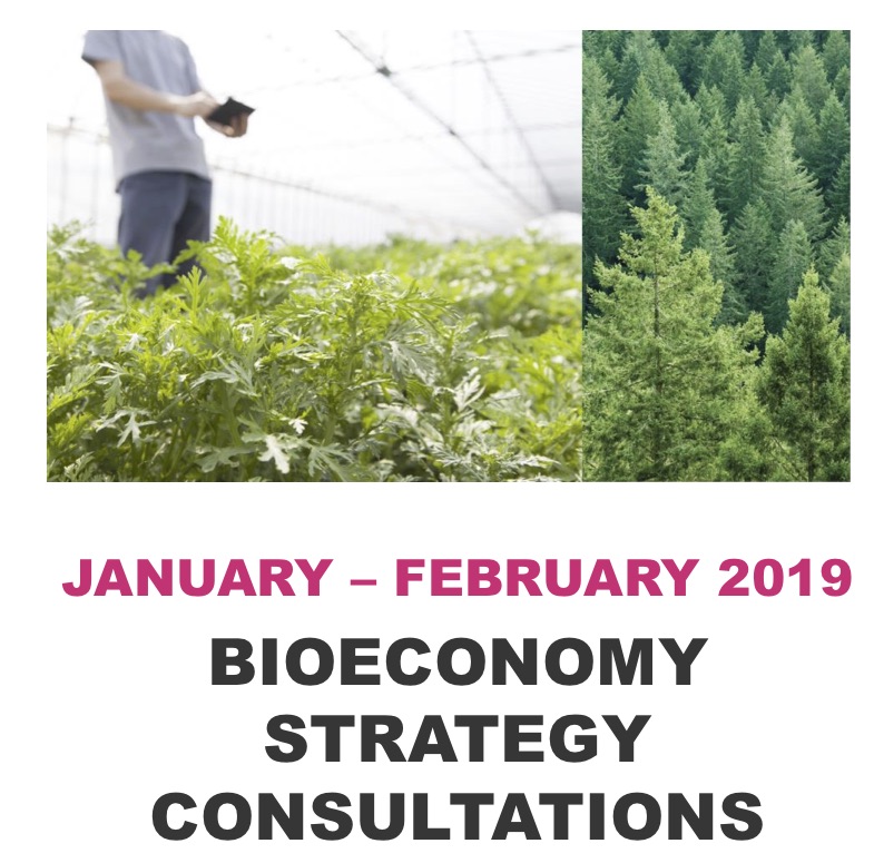 bioeconomy-consultations-poster-2019.jpg (154 KB)